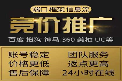百度竞价广告运营的技巧与误区：成功案例解析